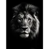 Clearance Urban Cotton Wandkleed Mighty Lion