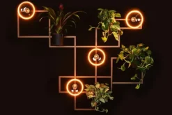 Ztahl Wandlamp - 1005 Varese